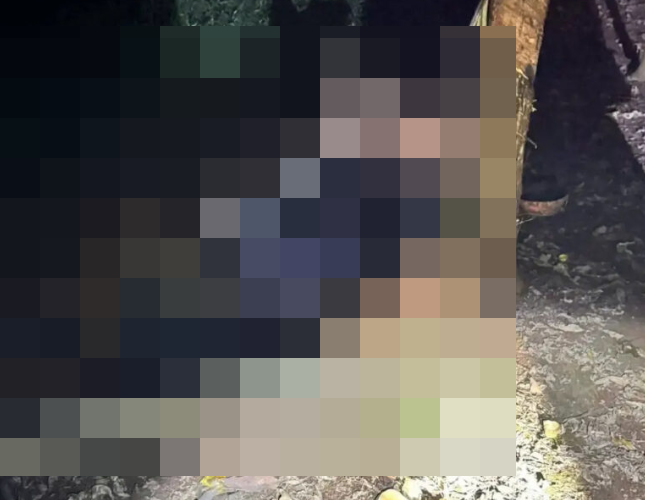 ẢNH 0CHE: Cân nhắc khi xem