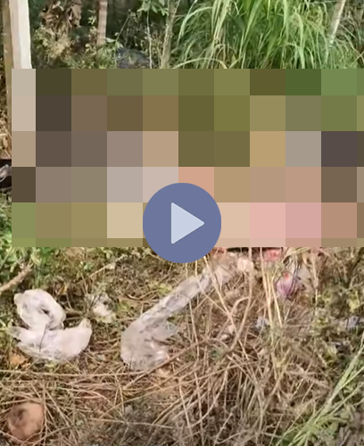 VI:DEO 0CHE: Cân nhắc khi xem