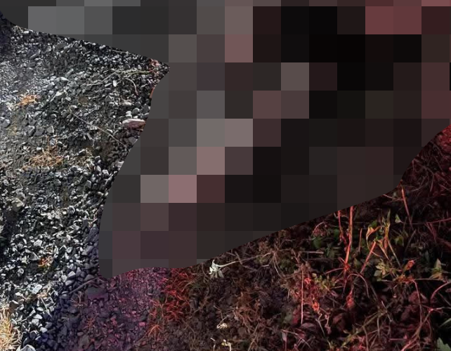 VI:DEO 0CHE: Cân nhắc khi xem