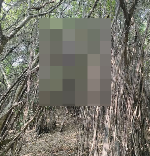 ẢNH 0CHE: Cân nhắc khi xem