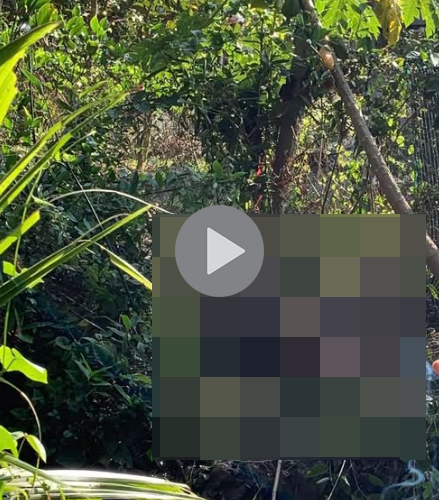 VI:DEO 0CHE: Cân nhắc khi xem