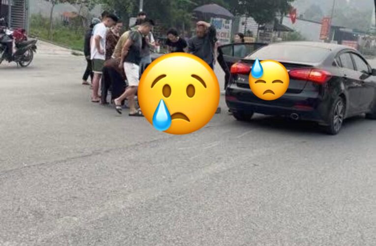 TOÀN CẢNH HIỆN TRƯỜNG